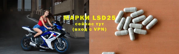 спиды Ладушкин