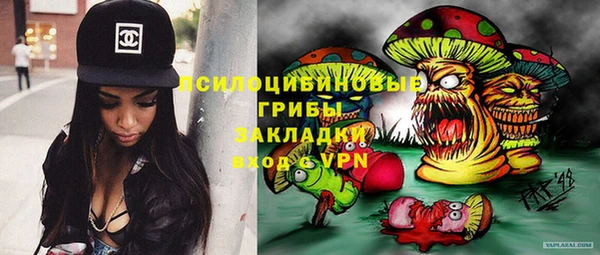 мет Лагань