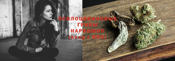 бошки Лихославль